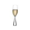 Wine Party Set of 2 Champagne Flutes